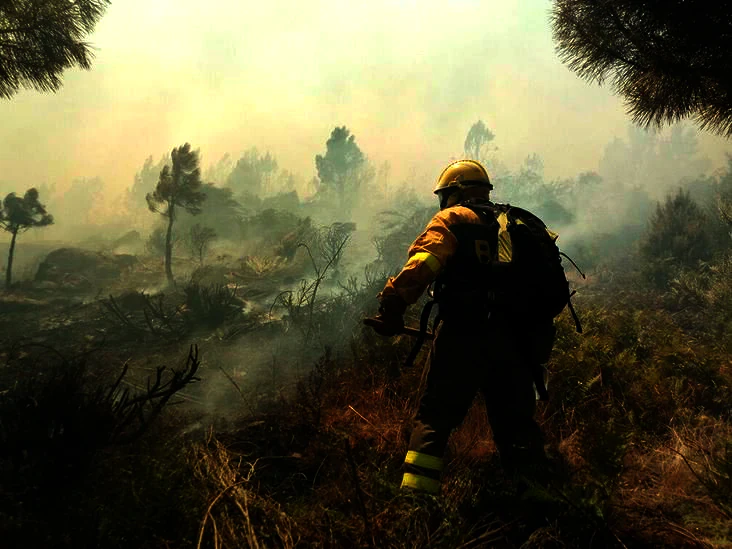 La Junta destina 400.000 euros para contratar desempleados para luchar contra los incendios en Ávila