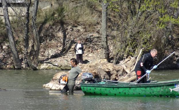 El trabajo de los voluntarios libera de troncos los ojos del Puente Mayor de Valladolid