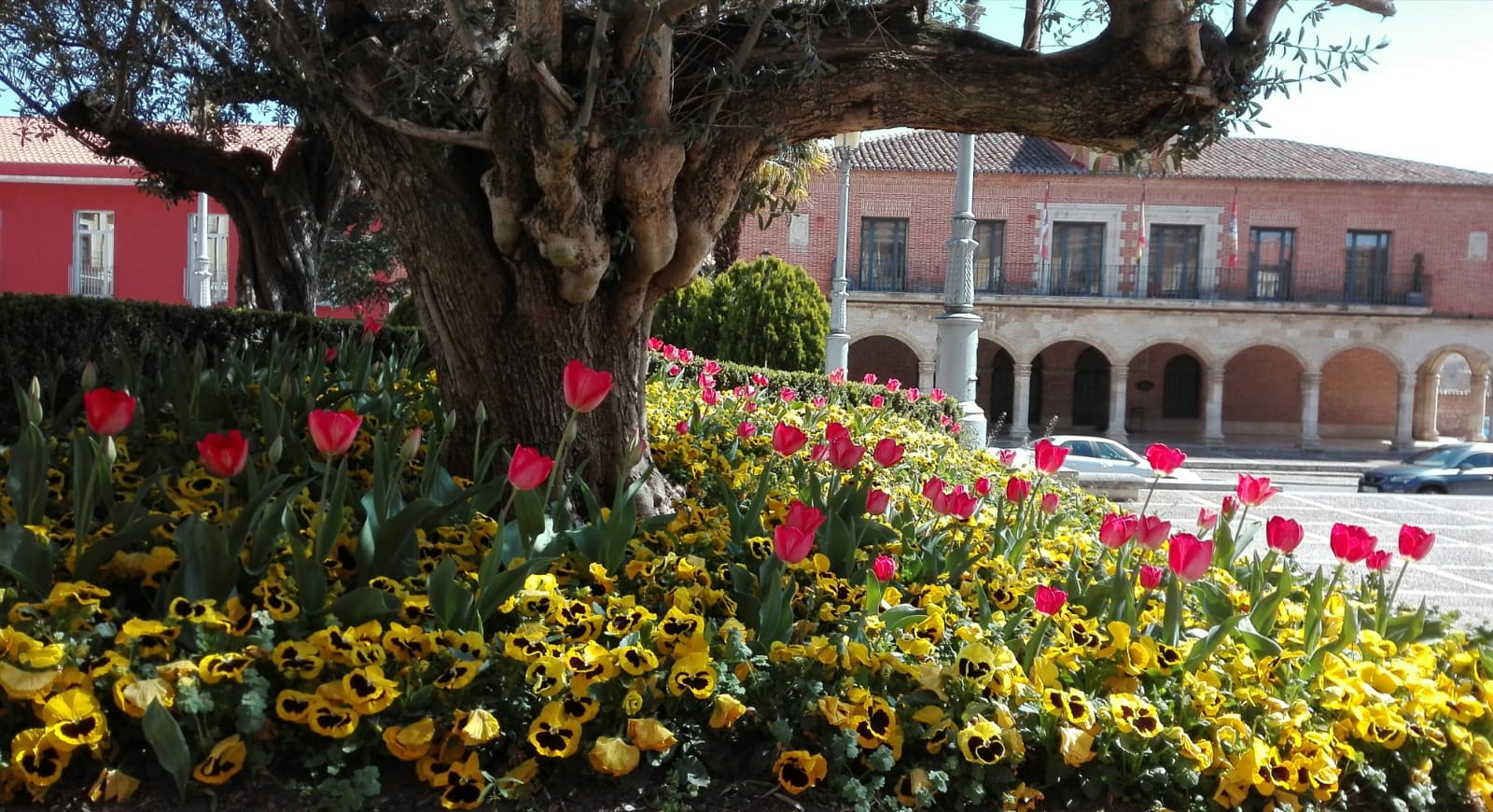 Fotos de la Primavera de los lectores de El Norte de Castilla