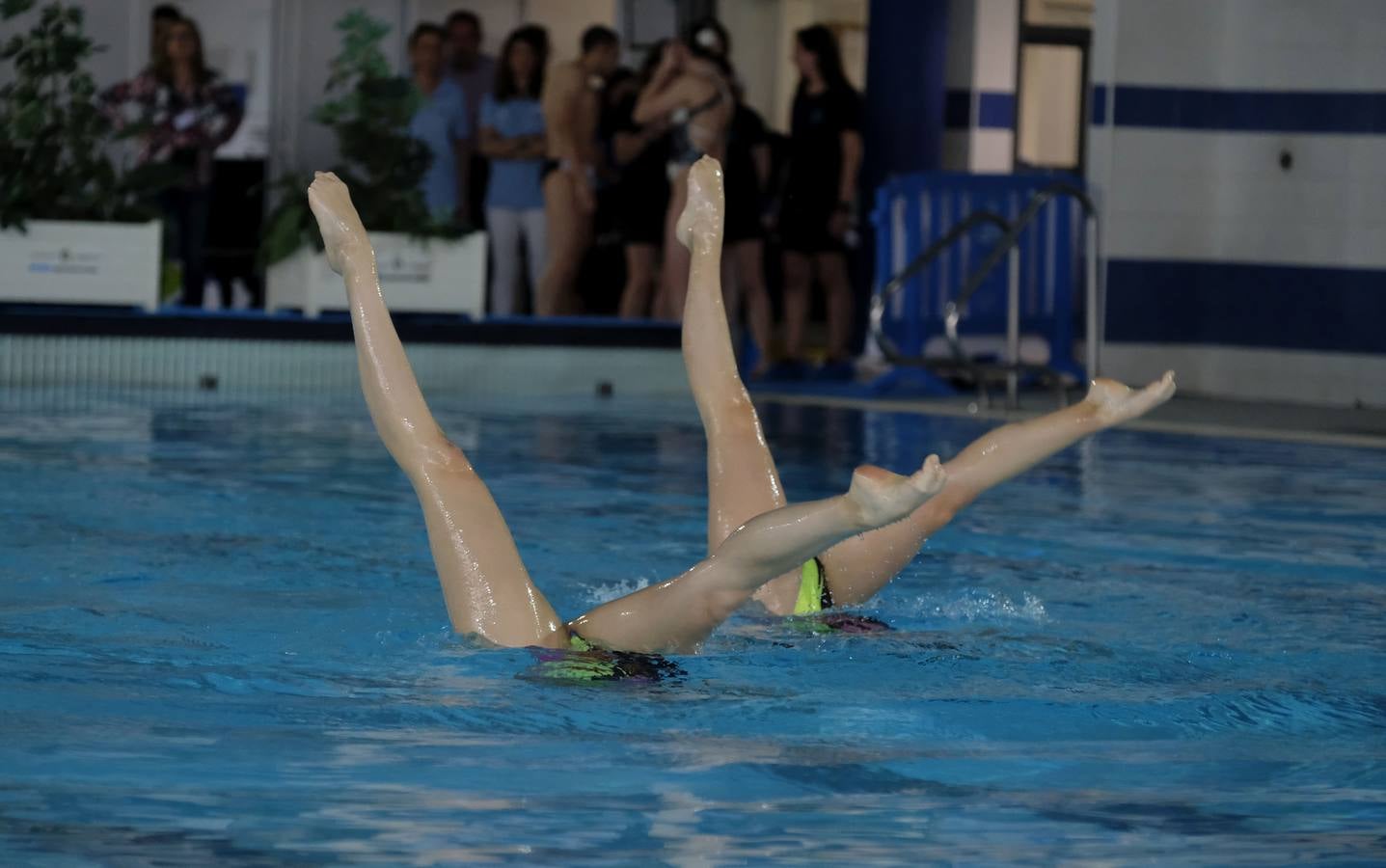 XX Campeonato de España de Invierno de Natación Artística Junior-Senior (1/2)