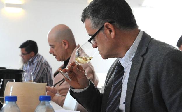 Cuenta atrás para los Premios Sarmiento 2019, donde se valoran los mejores verdejos de Rueda