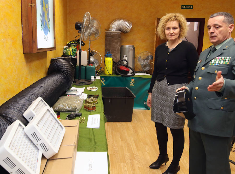 Detienen a un ciudadano chino que cultivaba 400 plantas de marihuana en un chalé de Segovia
