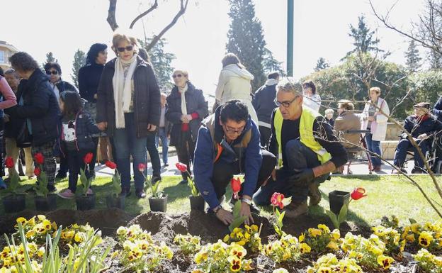 La plantación de tulipanes hace visible la solidaridad con los enfermos de parkinson