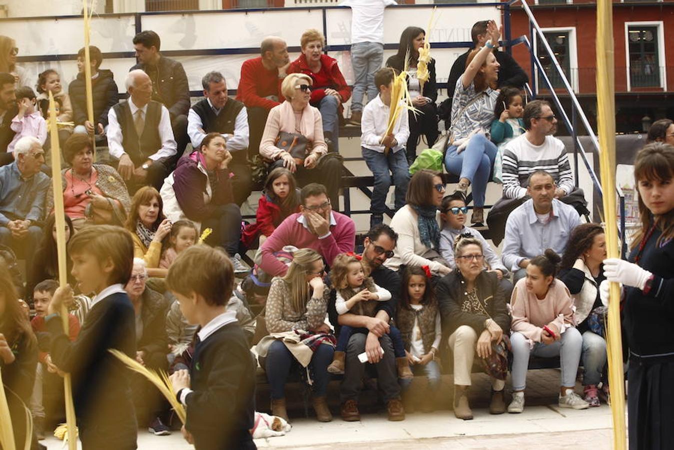 Procesión de la Borriquilla (6/6)
