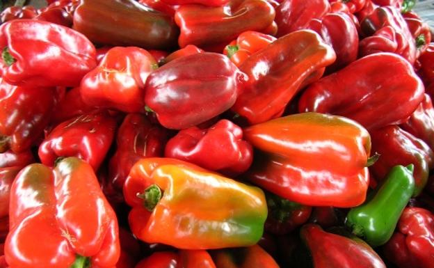El pimiento de torquemada o la intensidad del sabor