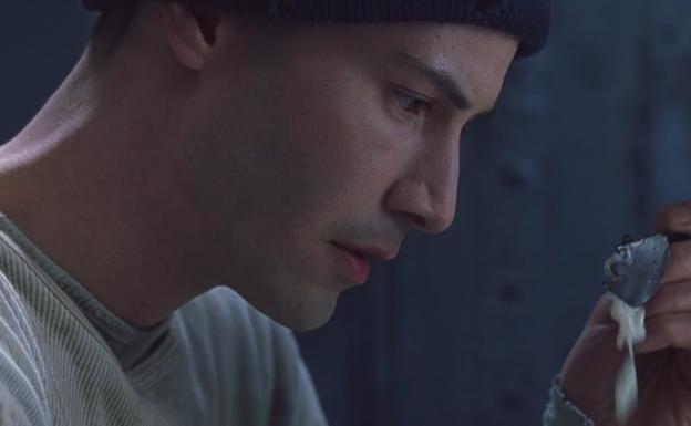 Comida real para salir del Matrix alimentario