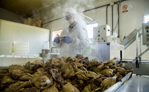 El pato, un producto gourmet 'made in Palencia'