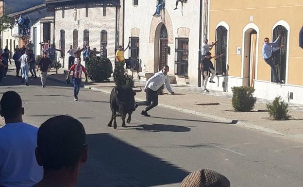 La Fiesta del Verdejo de la Seca bate su récord