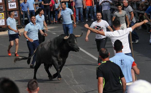La celebración del Toro del Cajón de Medina, en el aire por falta de policías