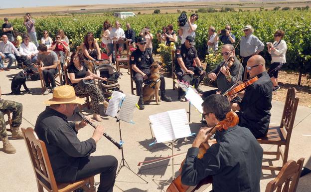 La música clásica sonará para los caballos en la bodega Liberalia