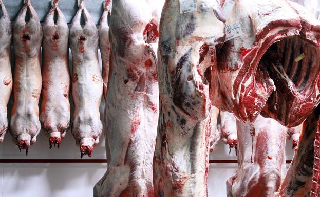 Servicarne, la principal proveedora de mano de obra en Embutidos Rodríguez, no podrá seguir operando