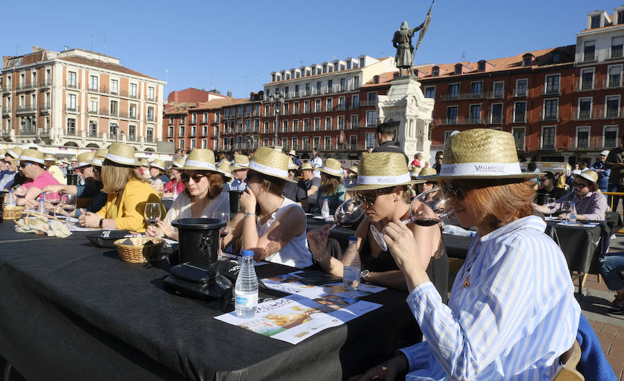 Jornada del sábado por la tarde de 'Valladolid, Plaza Mayor del Vino'