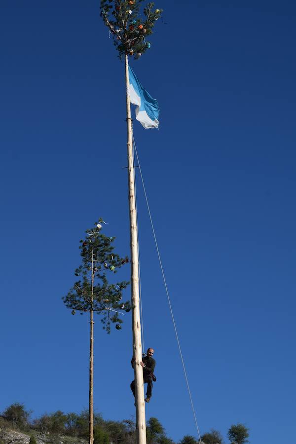 Pinada del Mayo en Velilla del Río Carrión