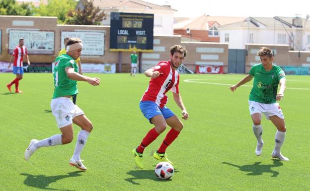 El CD Guijuelo quiere estirar hasta el final el sueño del play-off ante el Navalcarnero