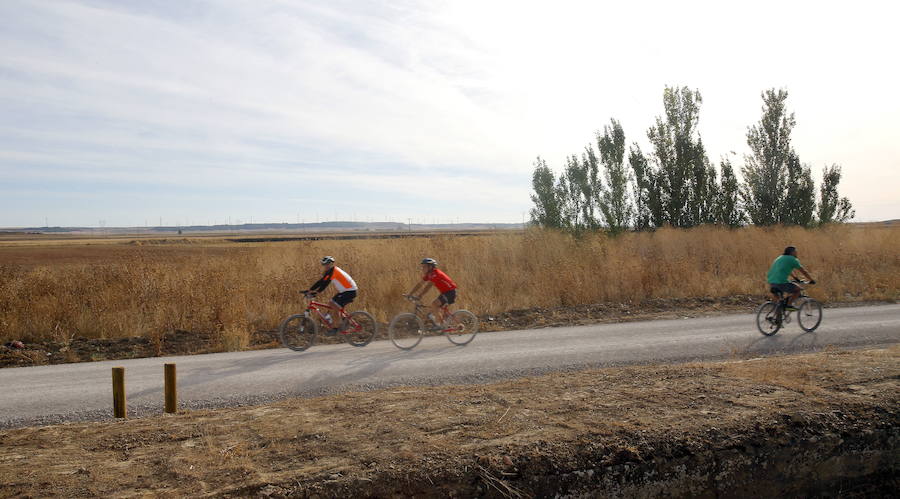 Rutas en bicicleta en Palencia por el trazado del Tren Burra