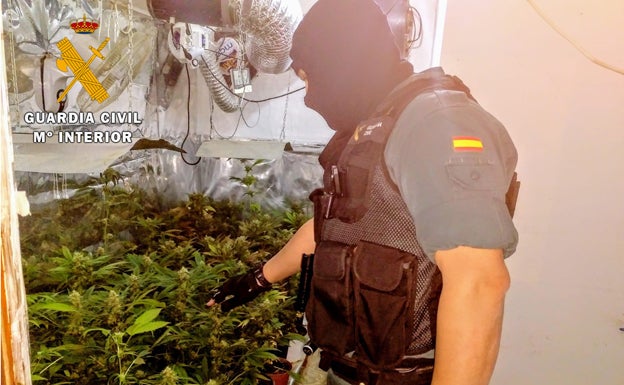 La Guardia Civil detiene en Arévalo a cuatro personas por cultivo, elaboración y distribución de drogas