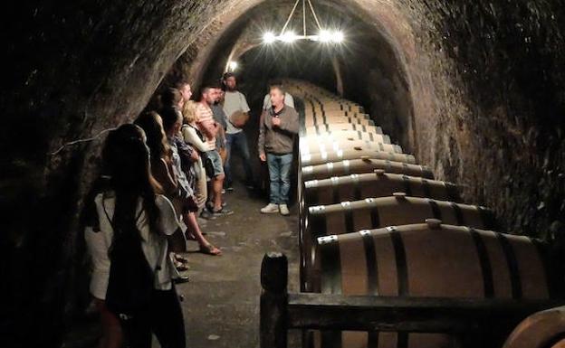 La Ruta del Vino Ribera del Duero se afianza en el podio de las más visitadas en 2018