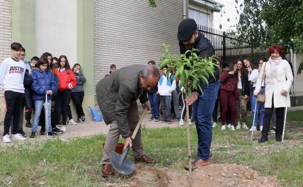 Un árbol por Delibes en el instituto Galileo