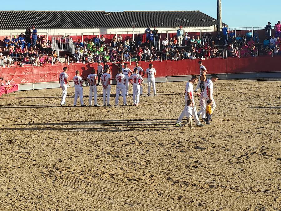 Liga de Corte Puro en Valdestillas