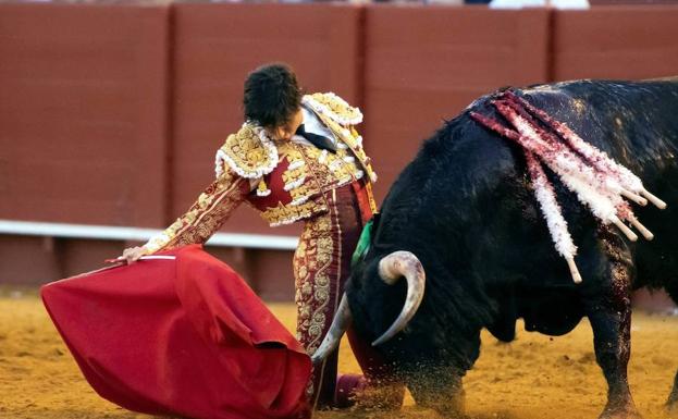 Roca Rey, Morante y Manzanares, el cartel taurino de San Pedro Regalado