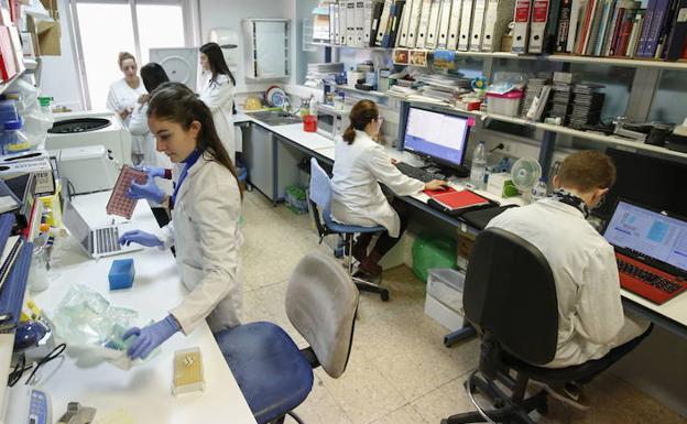 Una línea de ayudas de 145.000 euros potenciará el regreso de investigadores a Valladolid