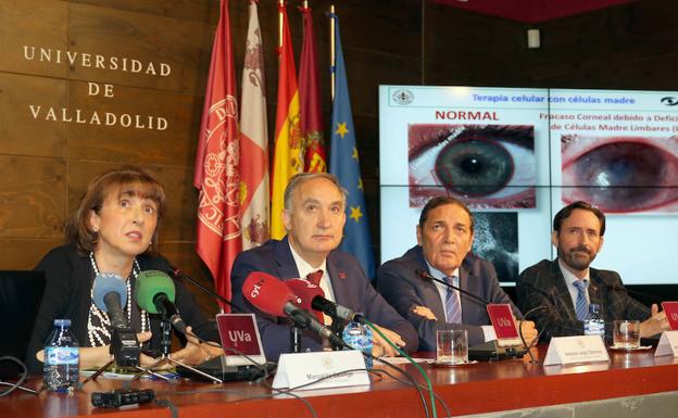 El IOBA y el IBGM logran una terapia innovadora contra enfermedades que generan ceguera corneal