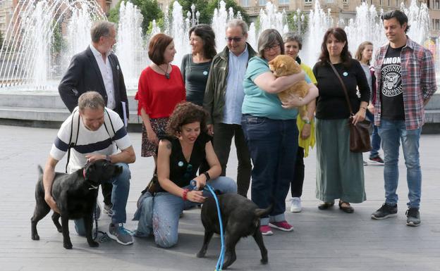 Así son los otros aspirantes de Toma la Palabra: Greta, Blau, Rodolfo... los animales de los candidatos
