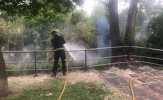 Los incendios intencionados de pelusas causan cuatro salidas diarias de los Bomberos de Valladolid