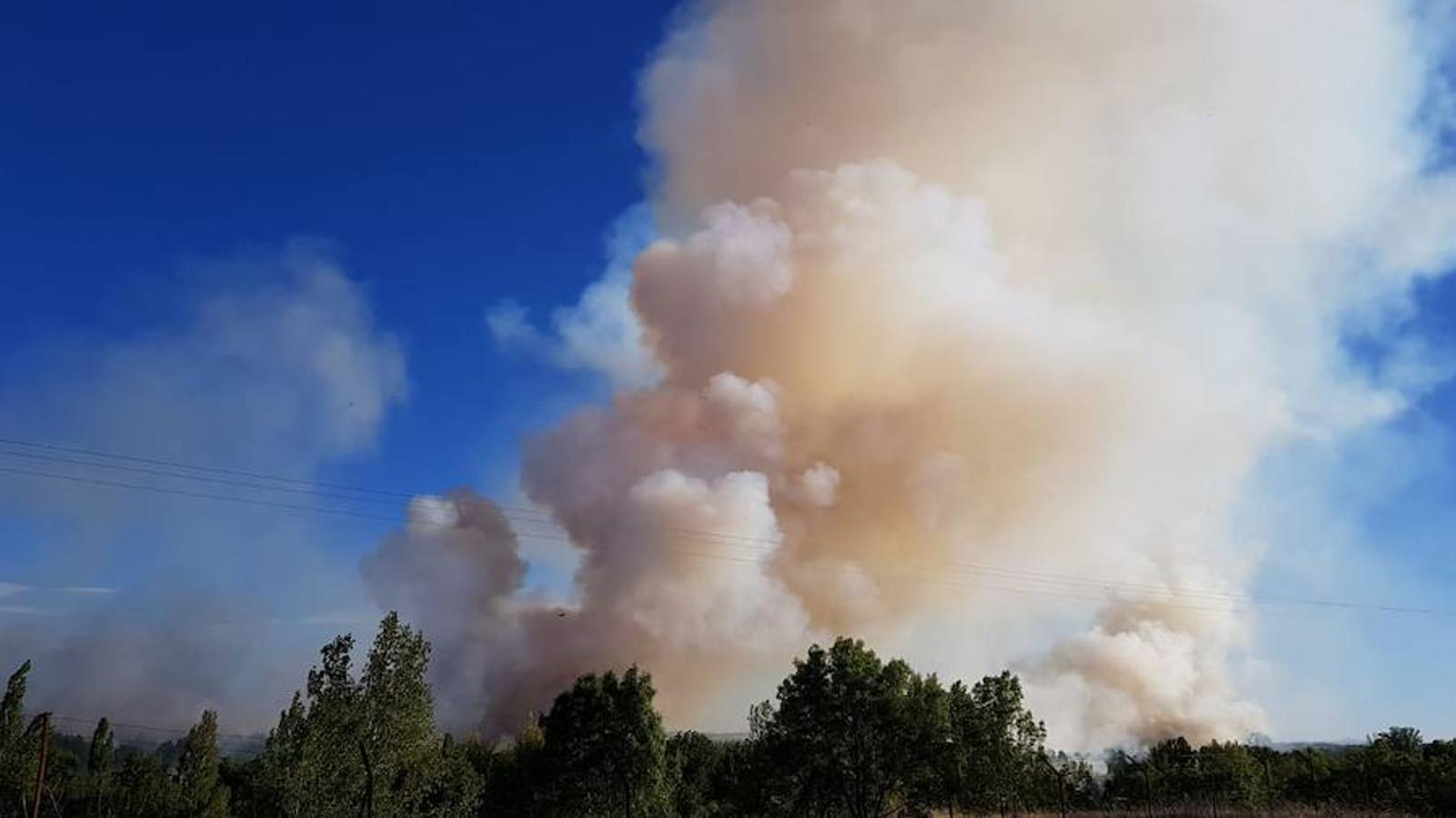 Incendio junto a la piscifactoría de Cabrerizos, en Salamanca