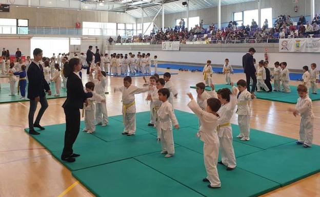 Más de trescientos niños y niñas en el festival de judo de Zaratán