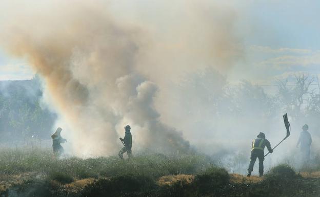 Controlado un nuevo incendio de pelusas en Palencia que afecta al ramal del Canal de Castilla