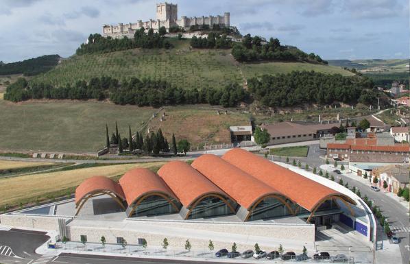 Los Premios Envero reconocen «la generosidad y la trayectoria ejemplar» de Bodegas Protos