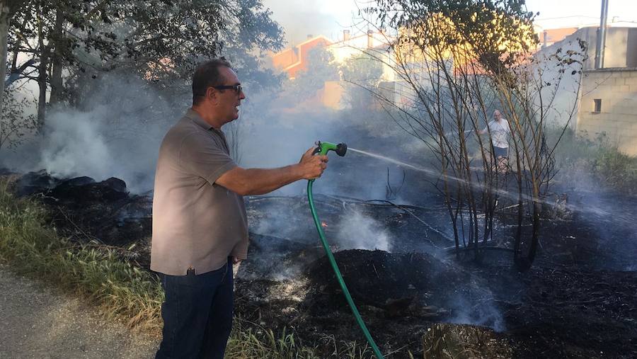 Arde una de las orillas del ramal de la Dársena en un nuevo incendio de pelusas en Palencia