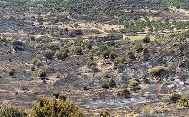 Se mantiene el nivel 1 en el incendio de Hoyo de Pinares por el riesgo de viento