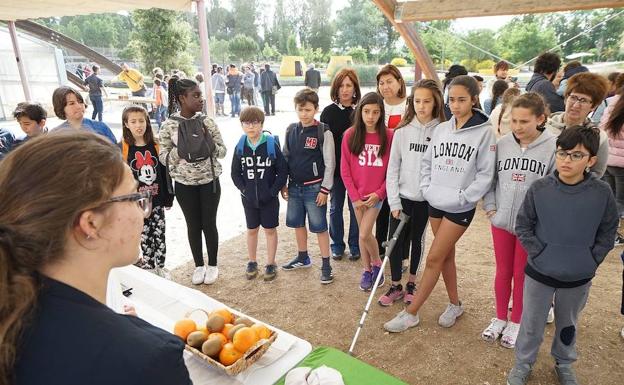 Con los árboles y contra el plástico