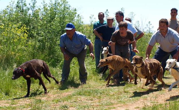 Torrelobatón y San Pelayo se preparan para celebrar sus días grandes