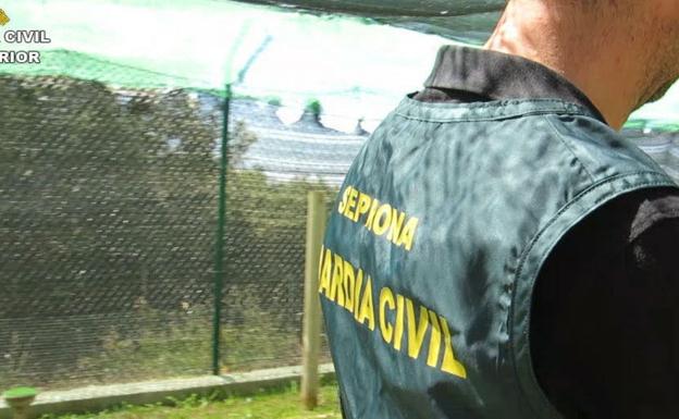 Asume ocho meses de cárcel por ahogar a ocho cachorros de mastín en la provincia de Palencia