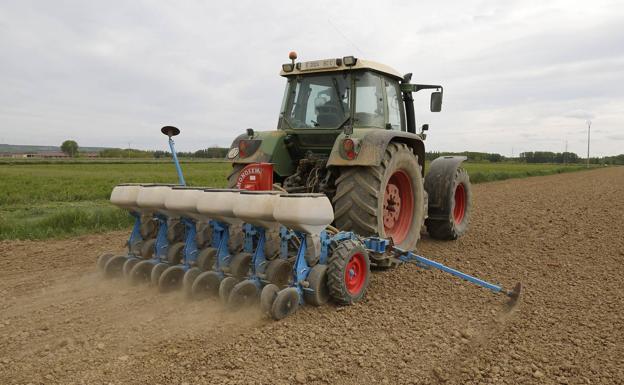 Fichar en el campo