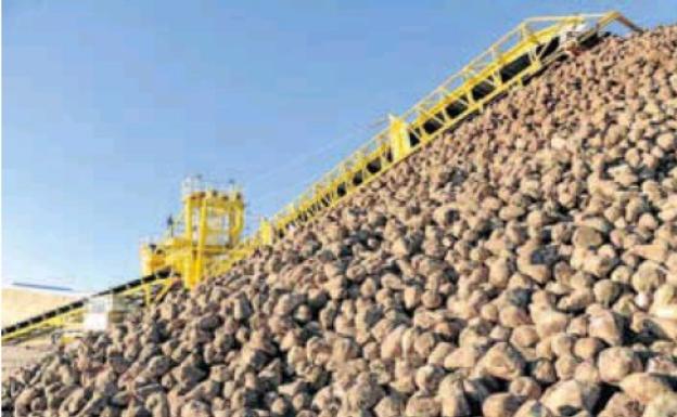 El arbitraje contra Azucarera arranca el martes en la Mesa Nacional