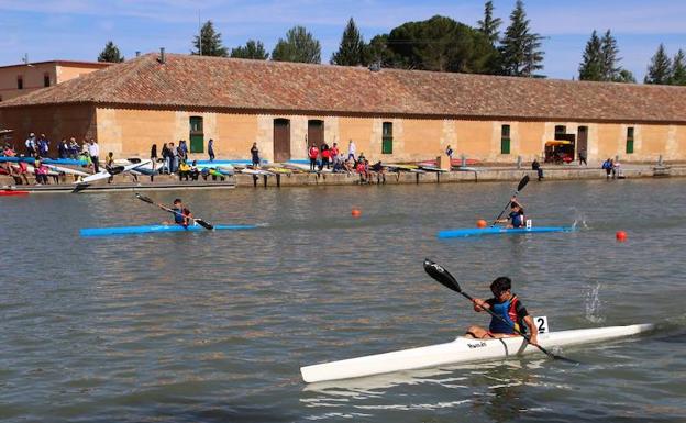 El Ciudad de Zamora gana el regional de sprint de piragüismo