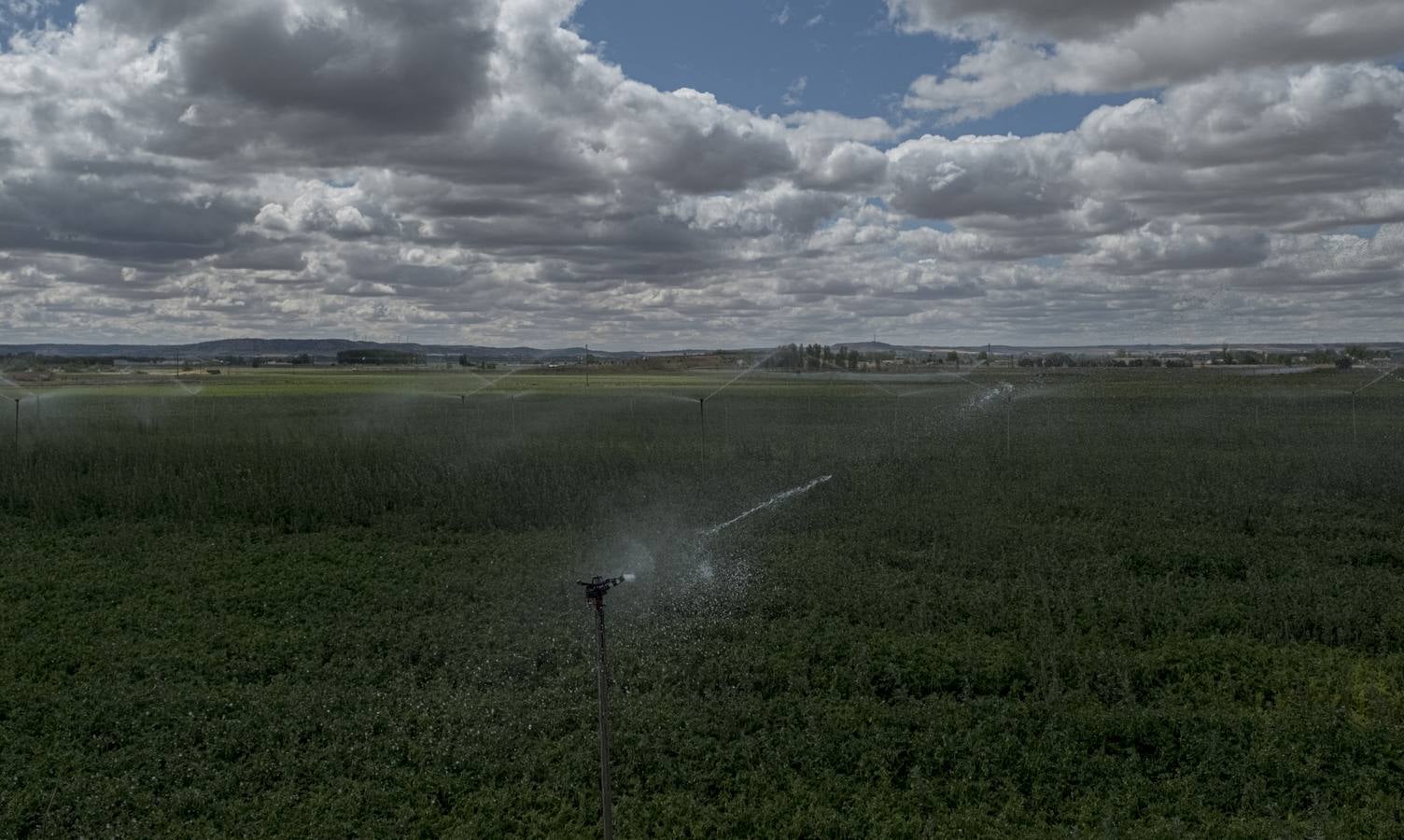 Los colores del campo