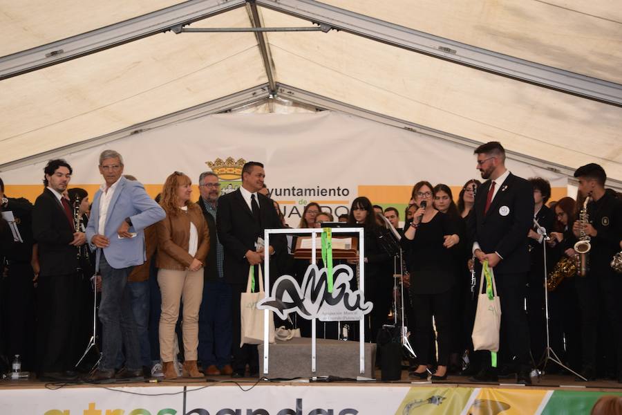 Festival de bandas de música en Guardo