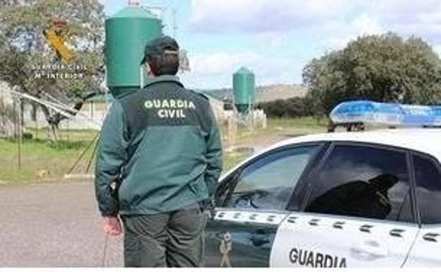 Dos menores detenidos por provocar un incendio con pelusas de chopos en la ribera del Pisuerga