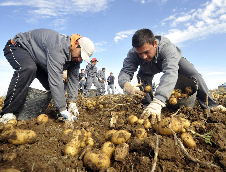 El campo no es para mí