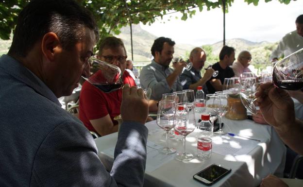 La cosecha de 2018 de la DO Arribes, calificada de «excelente»