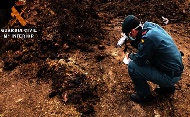 La Guardia Civil de Palencia investiga a un hombre por matar a un perro con una carabina y herir a otros seis y a un asno