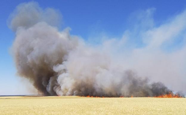 Más de 270 hectáreas calcinadas en el incendio de Las Berlanas