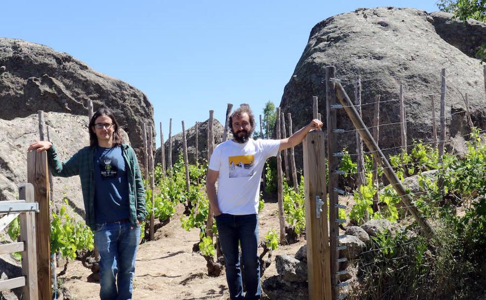 Vinos de granito líquido