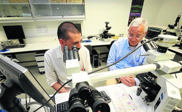 Las terapias personalizadas abren una nueva era en la lucha contra el cáncer