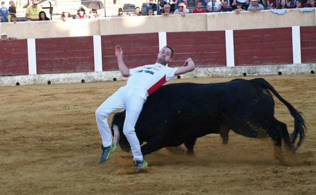 Planes imprescindibles para este fin de semana en la provincia de Valladolid